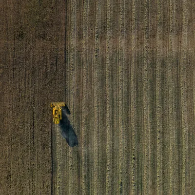 Vista aérea de colheitadeira avançando na divisa entre a área colhida e a não colhida