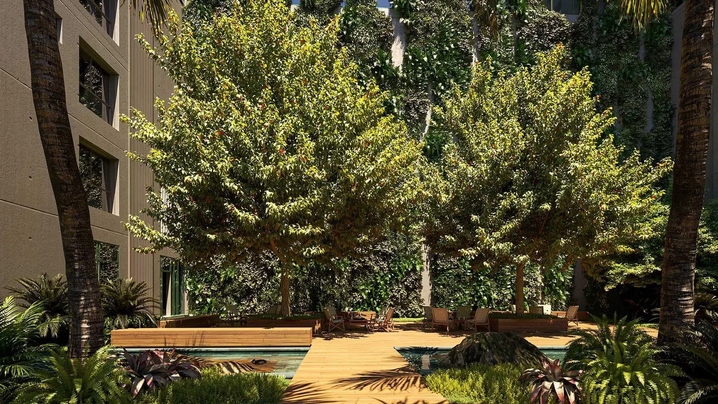 Deck de madeira sob árvores altas, com bancos e vegetação preservada em volta