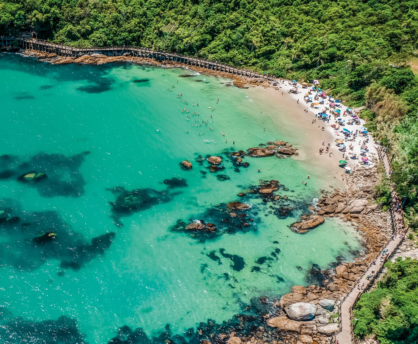 Vista aérea da Praia do Ribeiro: enseada de água turquesa, faixa curta de areia com guarda-sóis e costão rochoso cercado de mata fechada
