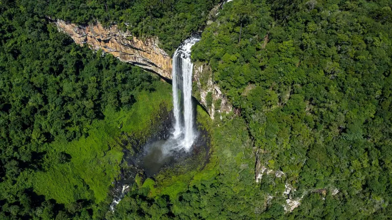 Cascata caindo de um paredão em meio à mata fechada, vista do alto